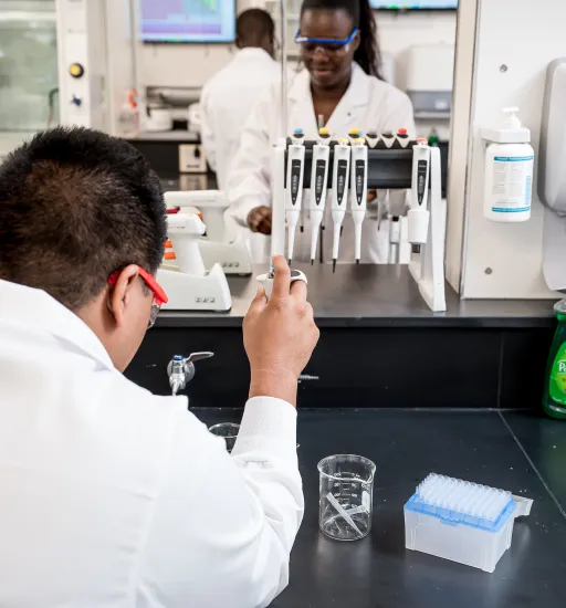 Trois personnes en sarrau blanc travaillent sur de grands comptoirs, chacune à sa station de travail, dans un laboratoire.