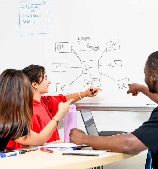Trois étudiants travaillent à une table près d’un tableau blanc fixé au mur. Ils regardent et pointent vers un schéma sur le tableau.