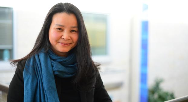 Phi-Vân Nguyen.